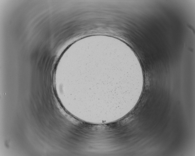 X0000103471515200810241001