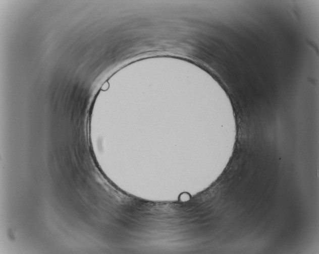 X0000103471516200810241001
