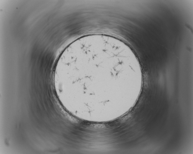 X0000103471517200810241001
