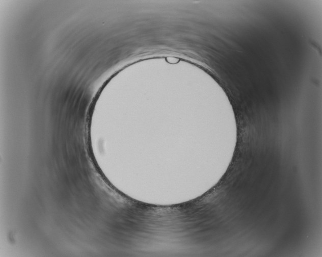 X0000103471518200810241001