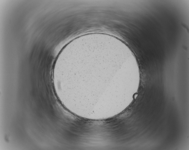 X0000103471519200810241001