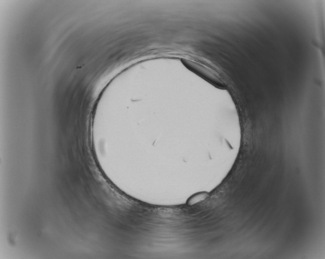 X0000103471520200810241001
