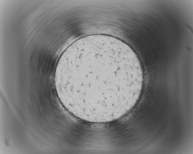 X0000103471521200810241001