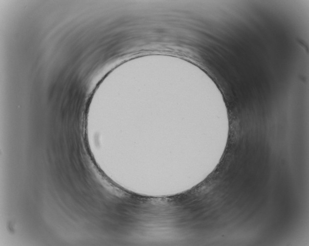 X0000103471523200810241001