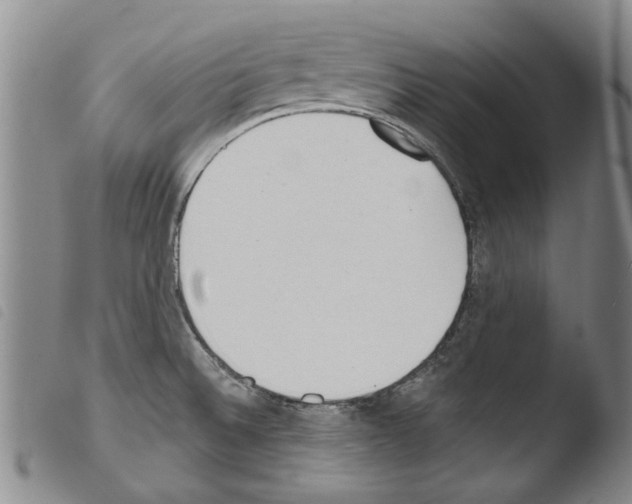 X0000103471524200810241001