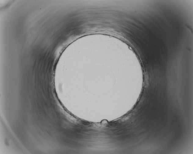 X0000103471525200810241001