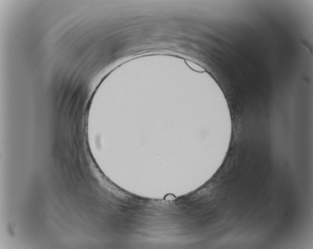 X0000103471526200810241001