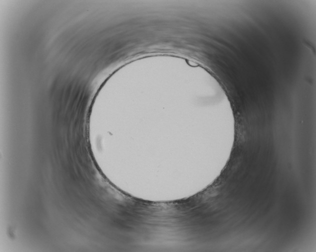 X0000103471527200810241001