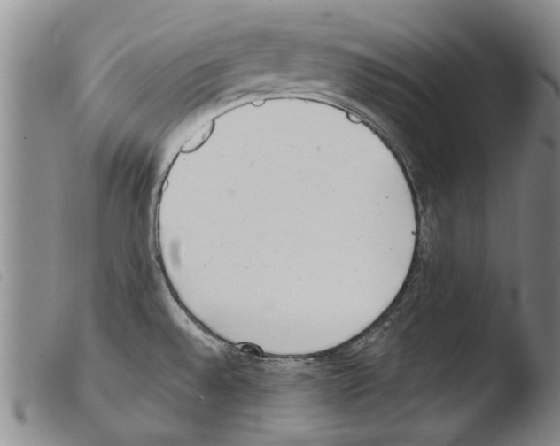 X0000103471528200810241001