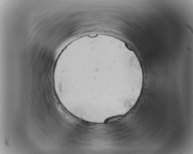 X0000103471530200810241001