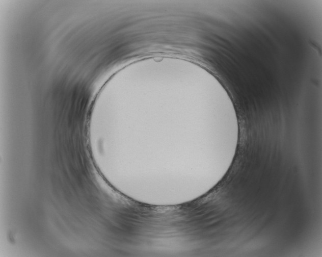 X0000103471531200810241001