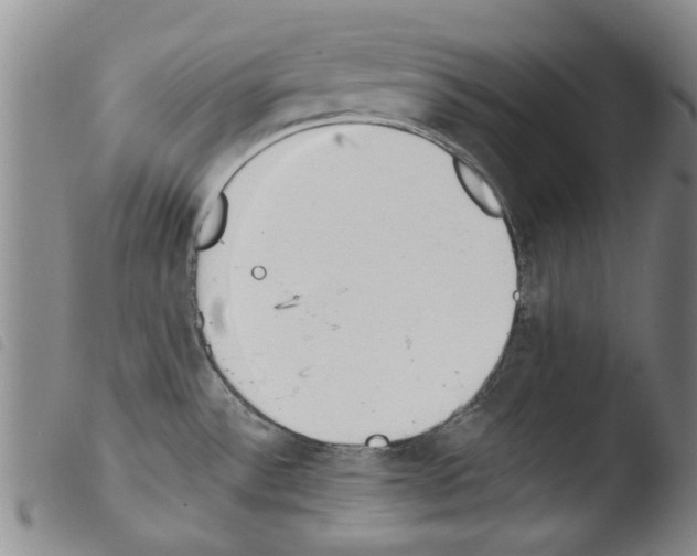 X0000103471532200810241001