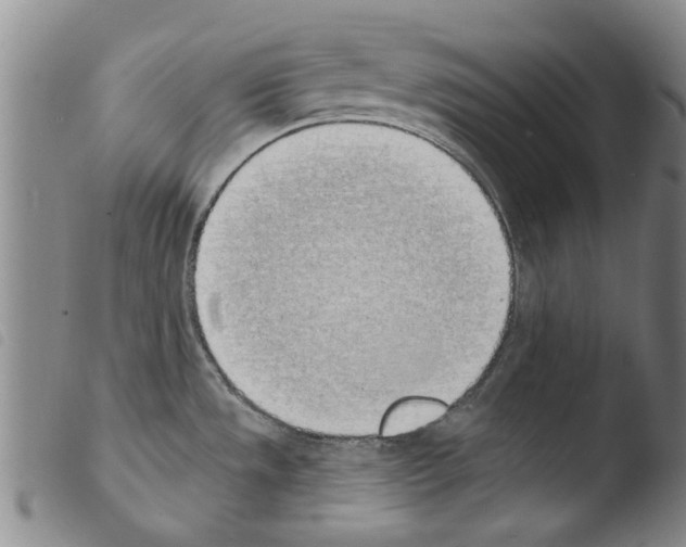X0000103471533200810241001