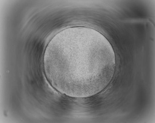 X0000103471536200810241001
