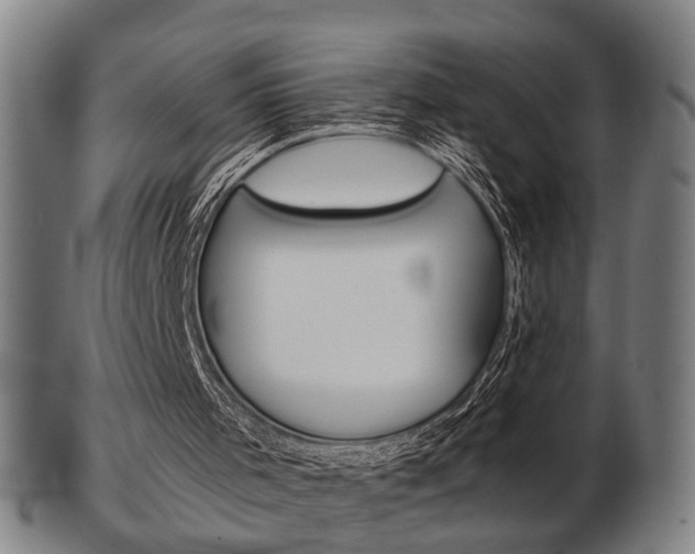 X0000103480001200809120938