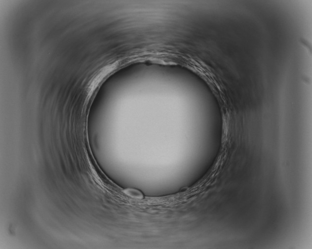 X0000103480003200809120938
