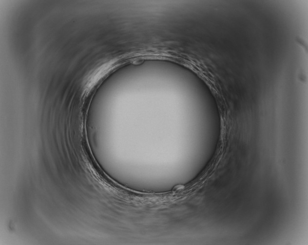 X0000103480005200809120938