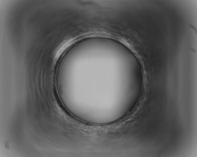 X0000103480007200809120938