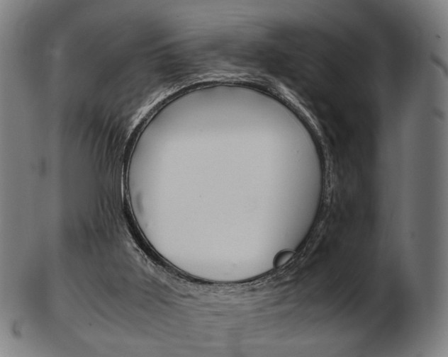X0000103480011200809120938
