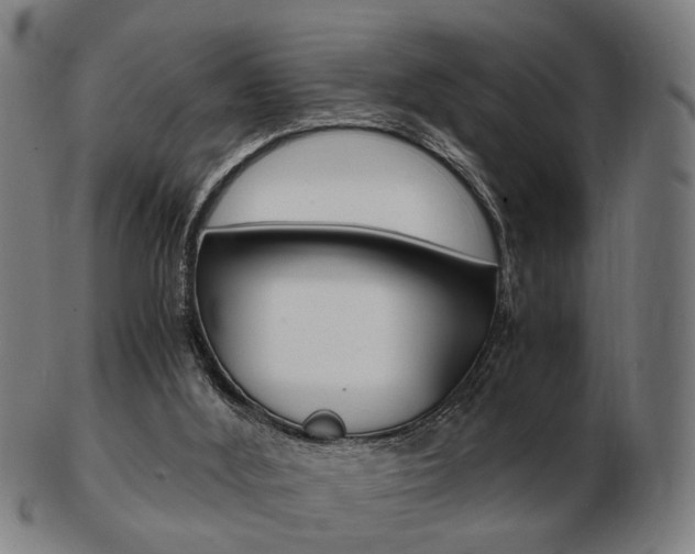 X0000103480012200809120938