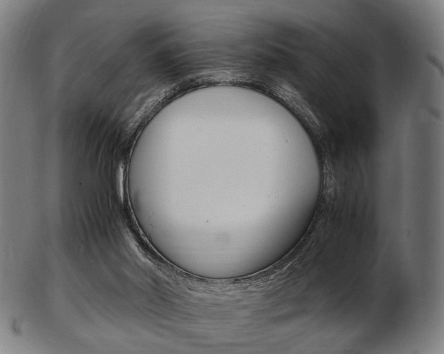 X0000103480014200809120938