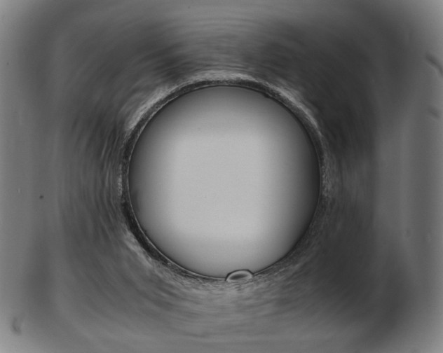 X0000103480015200809120938