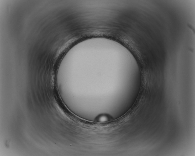 X0000103480016200809120938