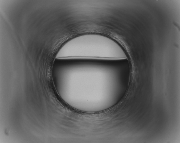 X0000103480017200809120938