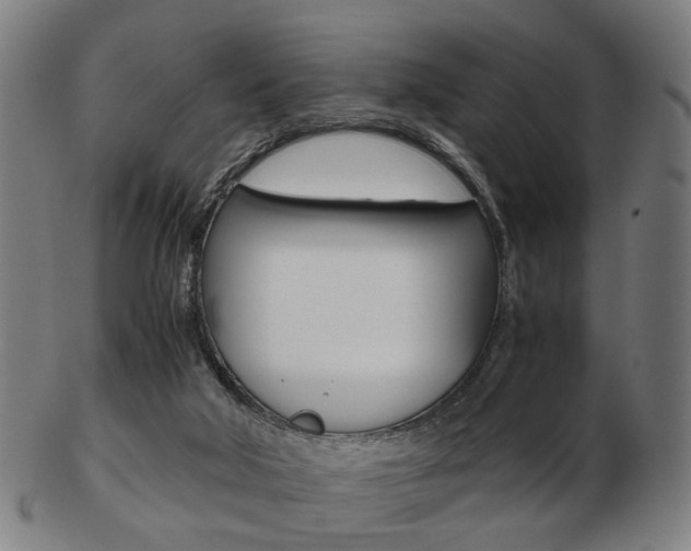 X0000103480018200809120938