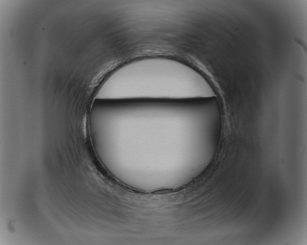 X0000103480019200809120938