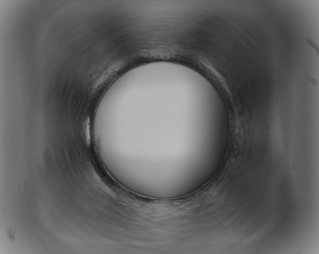 X0000103480020200809120938