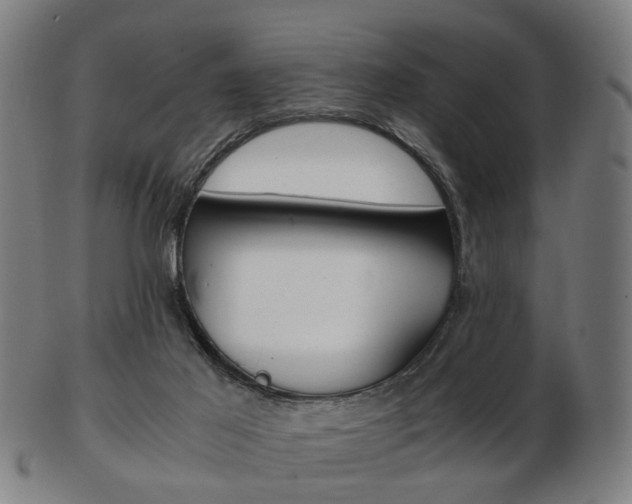X0000103480021200809120938