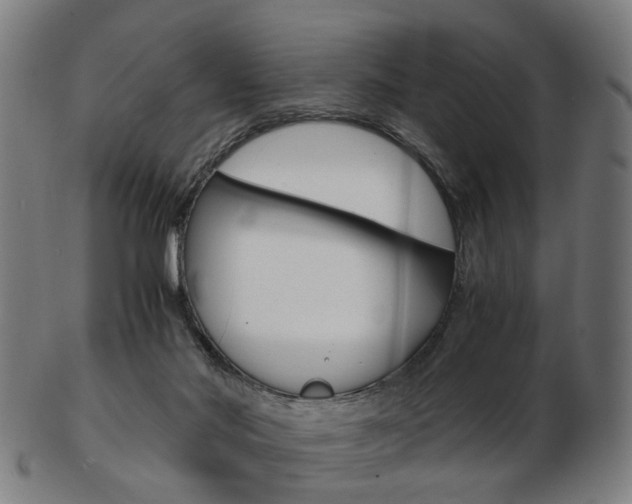 X0000103480022200809120938