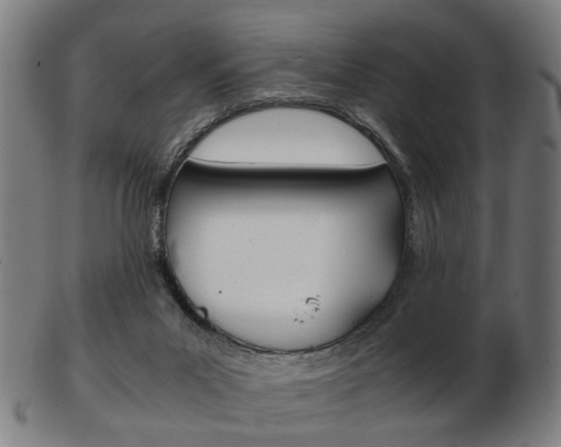 X0000103480023200809120938
