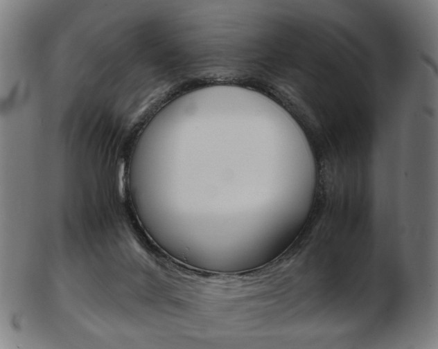 X0000103480024200809120938