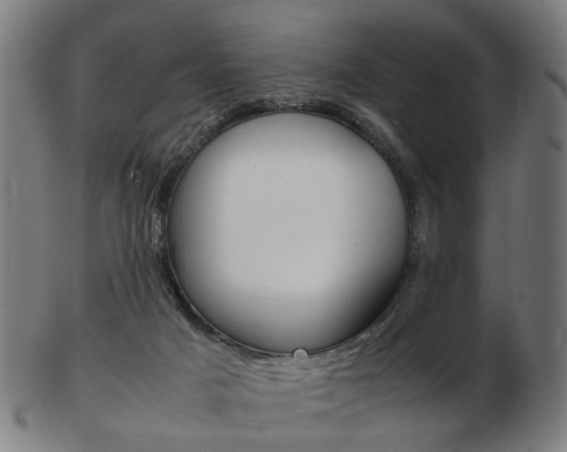 X0000103480025200809120938