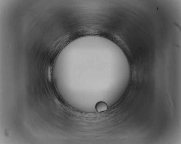 X0000103480026200809120938