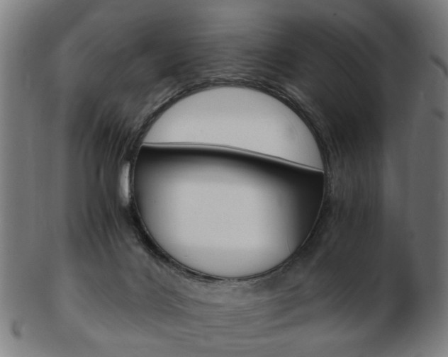 X0000103480028200809120938