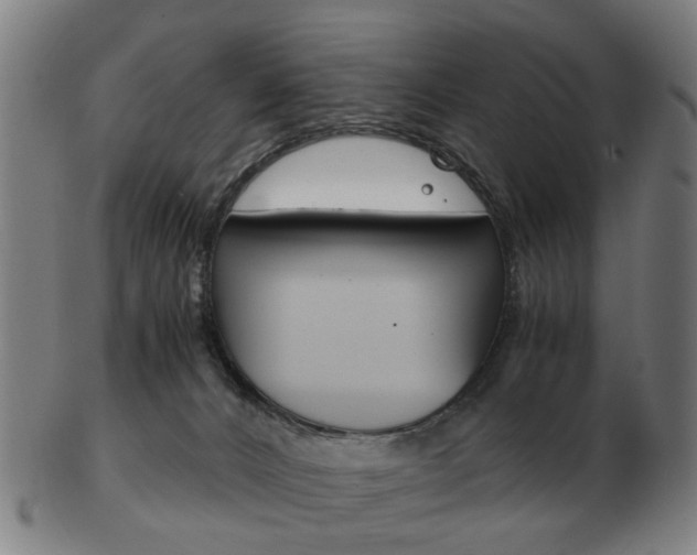 X0000103480032200809120938