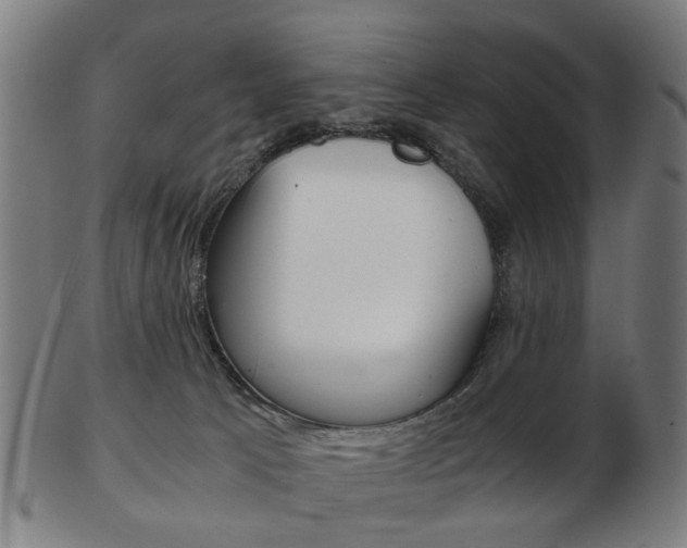 X0000103480033200809120938