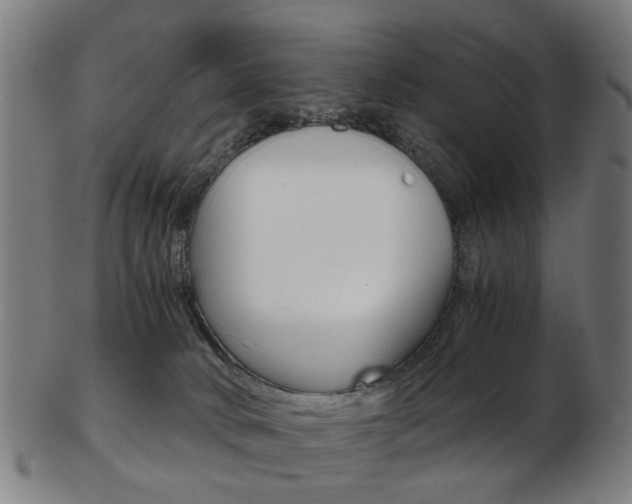 X0000103480034200809120938