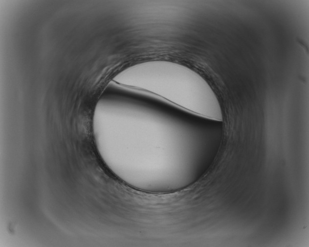X0000103480035200809120938