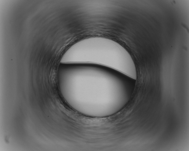 X0000103480036200809120938
