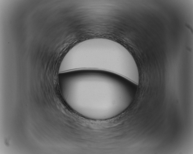 X0000103480039200809120938