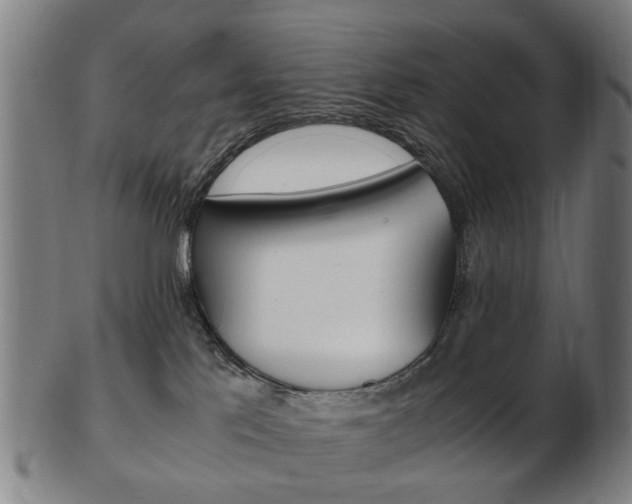 X0000103480041200809120938