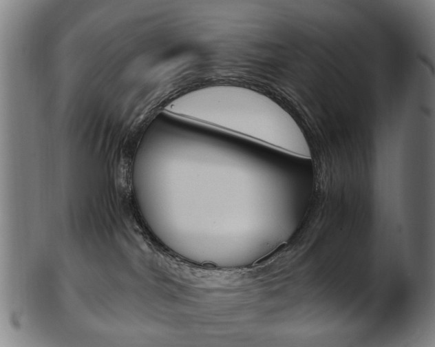 X0000103480044200809120938