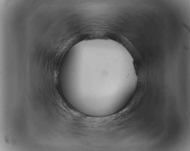 X0000103480045200809120938