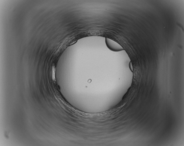 X0000103480046200809120938