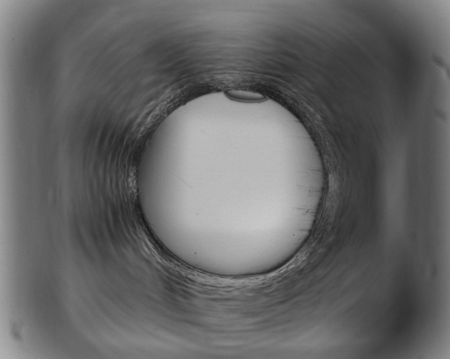 X0000103480048200809120938