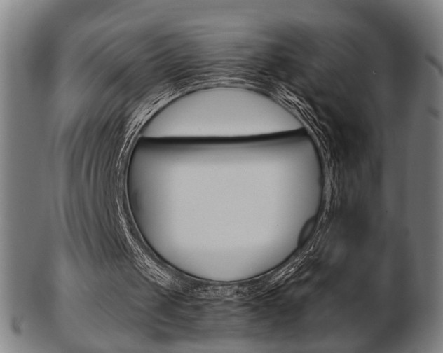X0000103480049200809120937